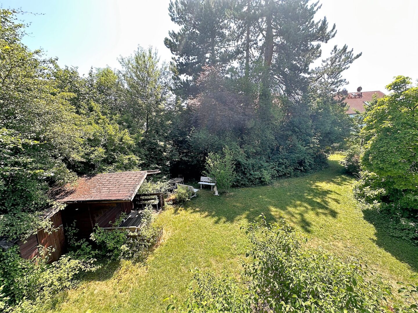 Blick in den Garten