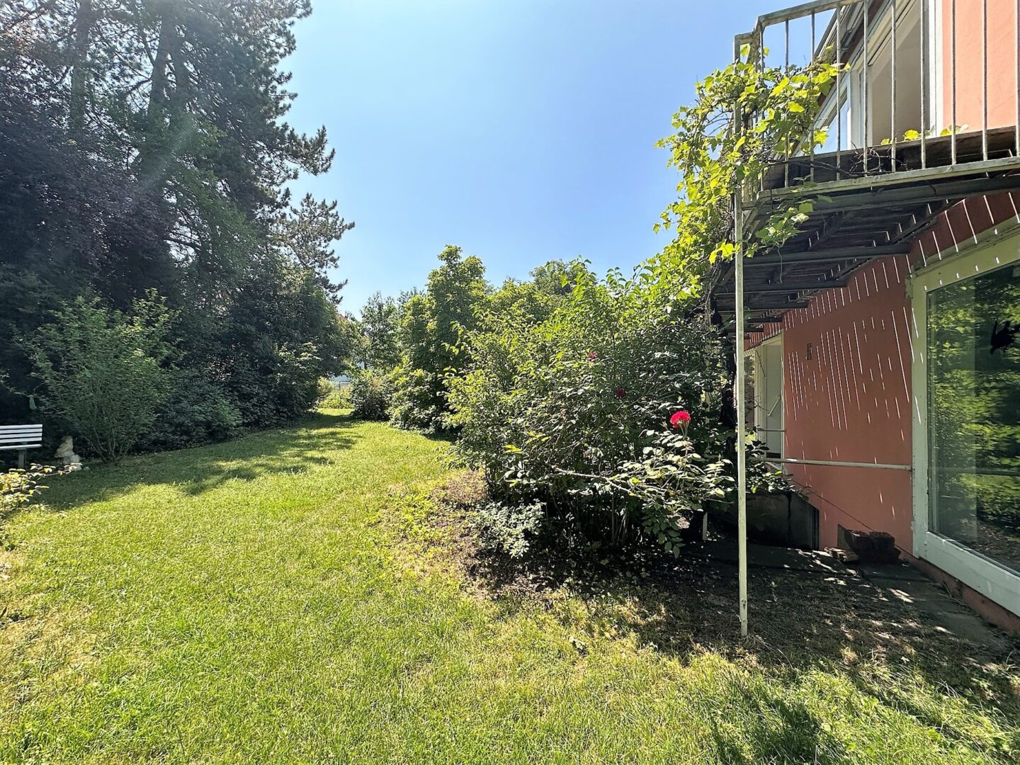 Blick in den Garten Westseite