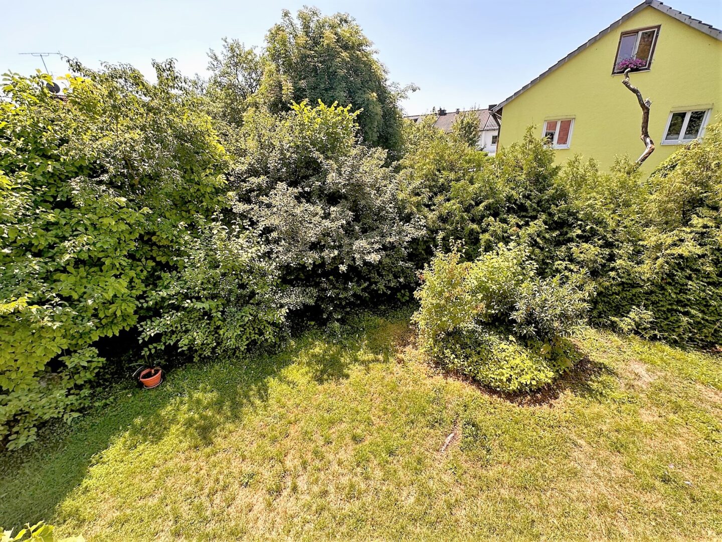Westseite Garten