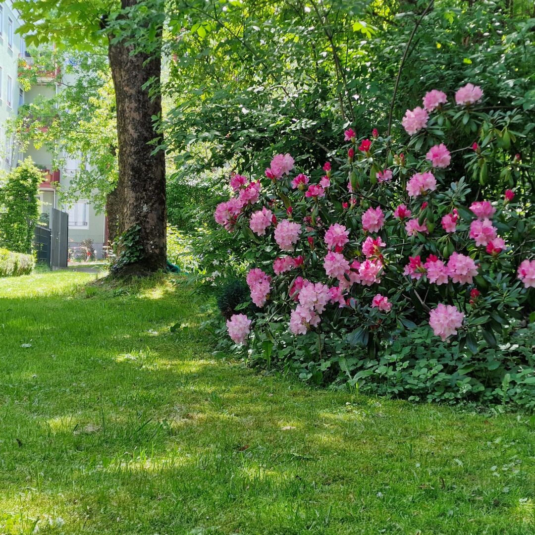 Grünanlage hinter dem Haus