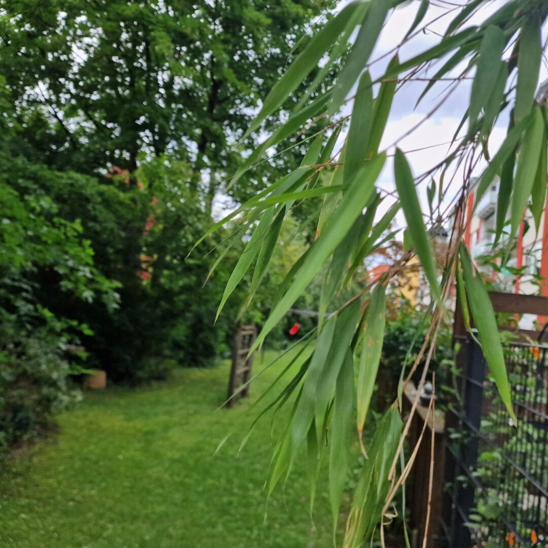Grünanlage hinter dem Haus
