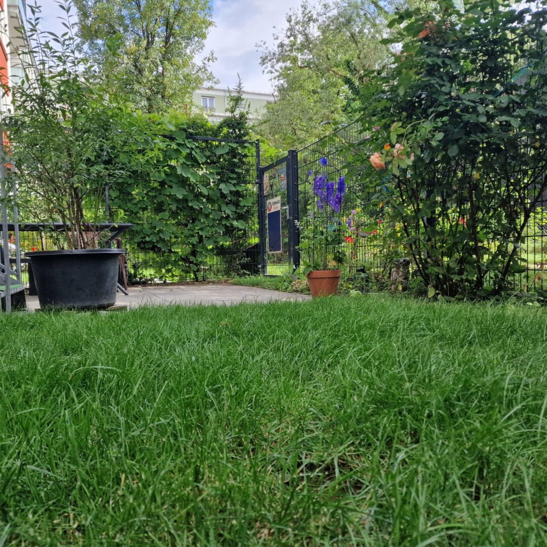 Terrasse mit Garten