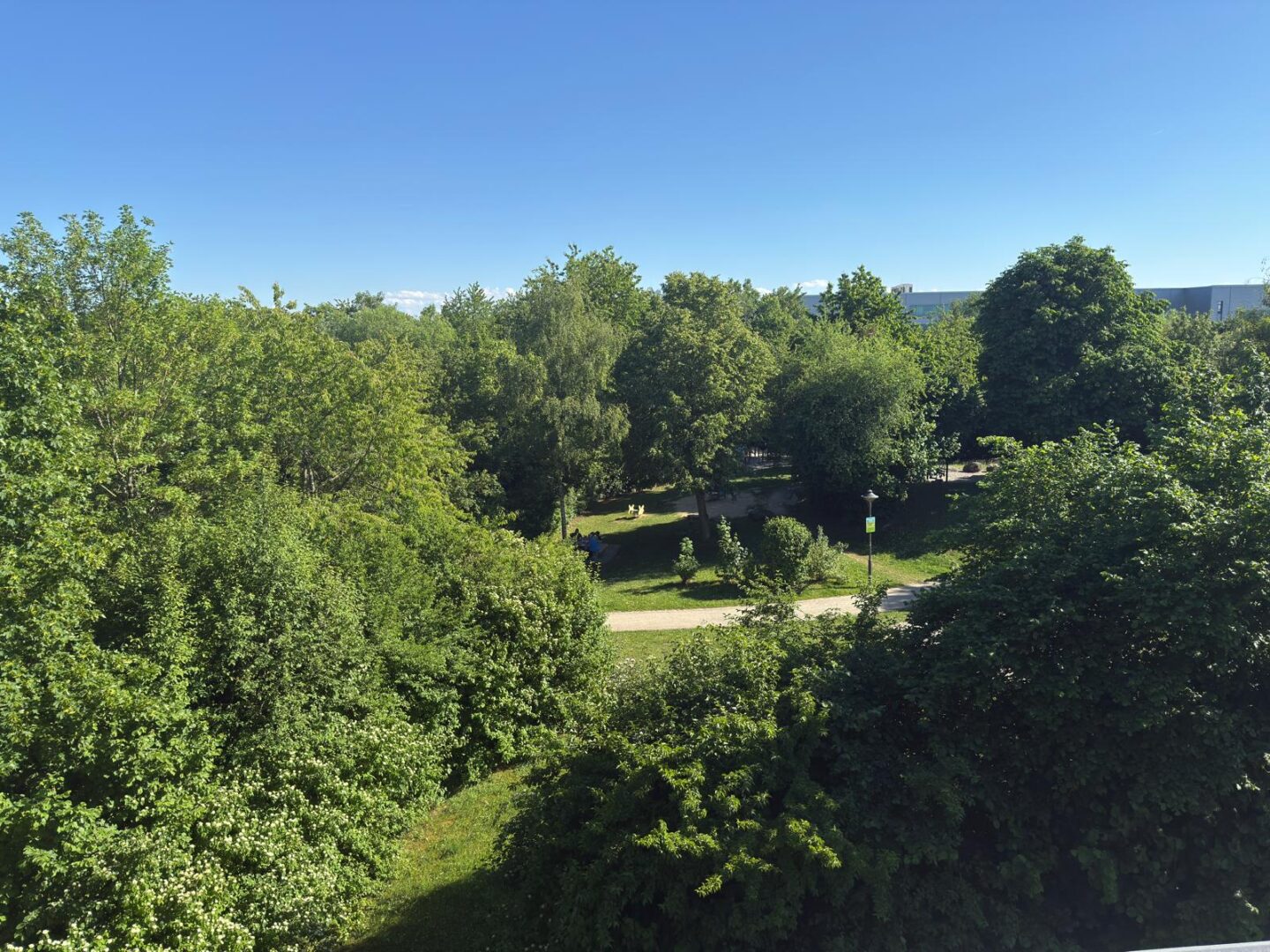 Blick in den Park
